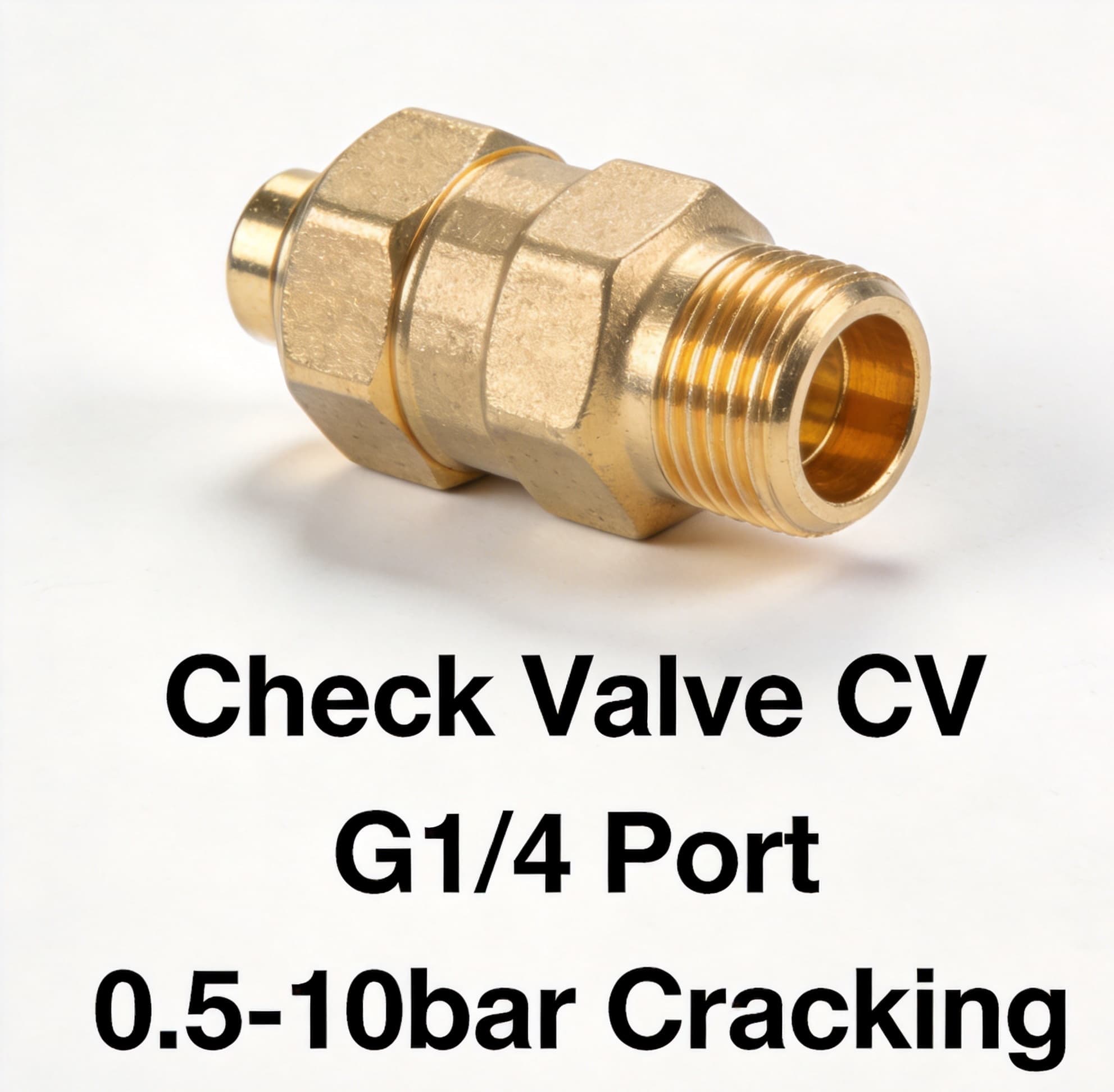 Check Valve catalog image